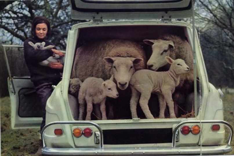 Aquí unas fotos del fantástico Citroen C 8